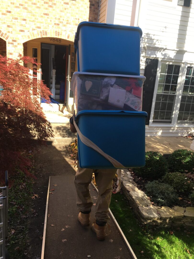 A person carrying two boxes on their back